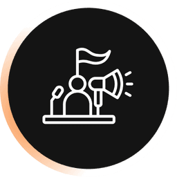 Political Campaign Strategy